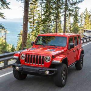 Adjust image height to fit column