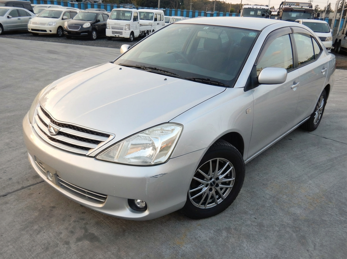 Enhance lighting, sharpness, natural color balance